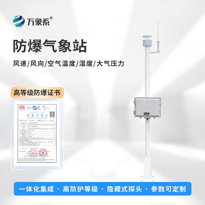 防爆監(jiān)測(cè)系統(tǒng)